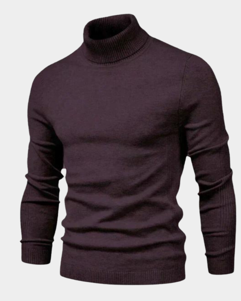 Howard | Perfect Fit Turtleneck Sweater