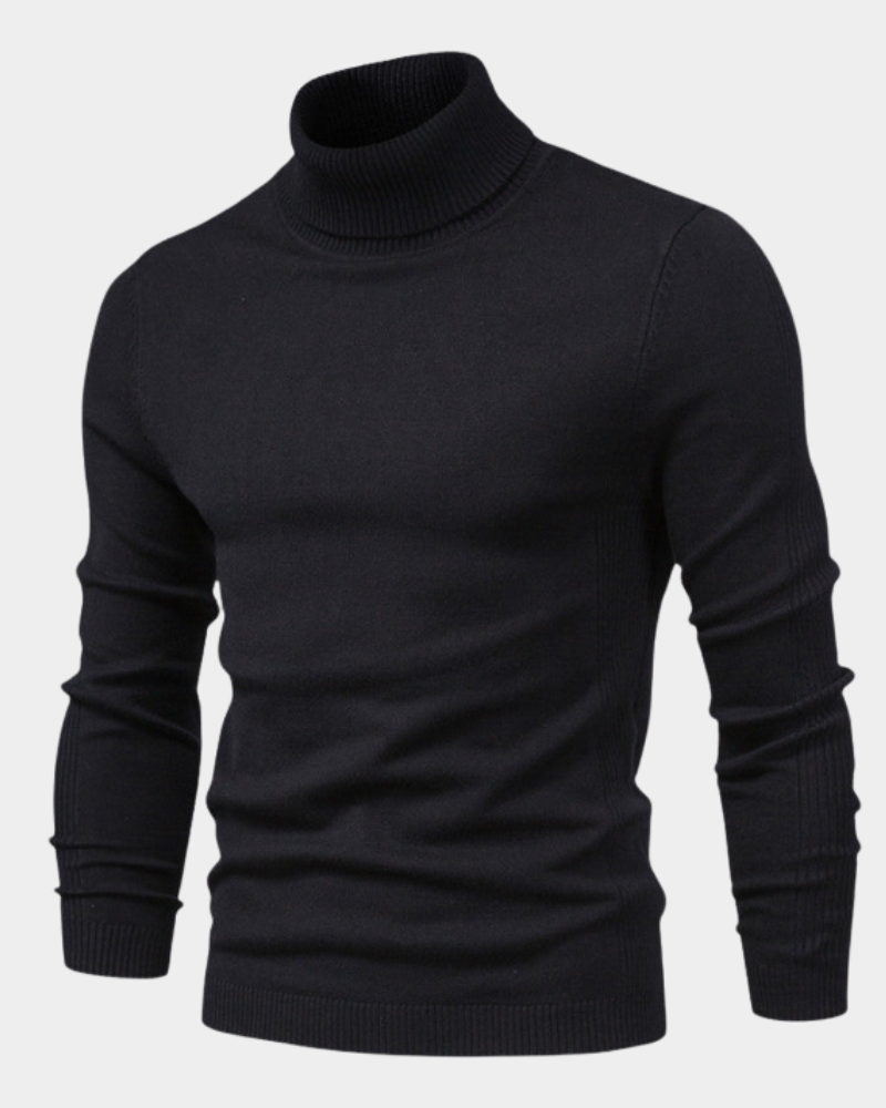 Howard | Perfect Fit Turtleneck Sweater